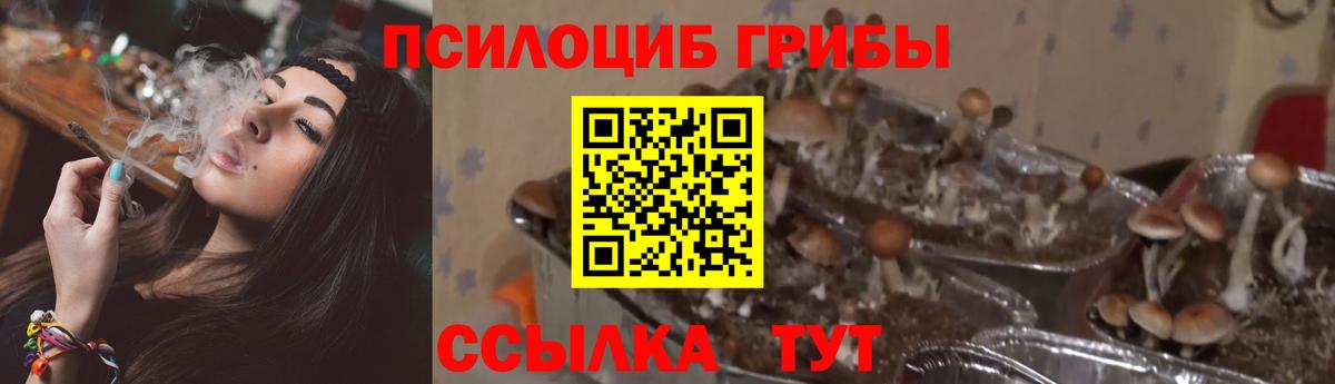 Реж  Псилоцибиновые грибы ЛСД  Вход с VPN 